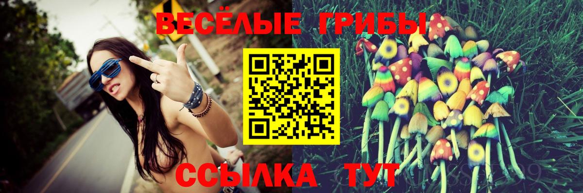 Галлюциногенные грибы Psilocybe  как найти закладки  Шали  Галлюциногенные грибы мицелий  Вход с VPN 